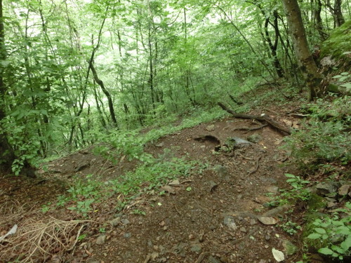 CIMG0879