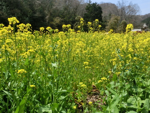 CIMG0574