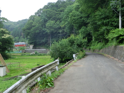 CIMG1259