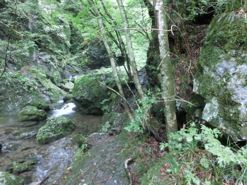 CIMG0865