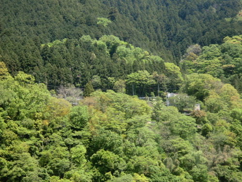 CIMG0427