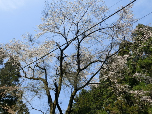 CIMG0578