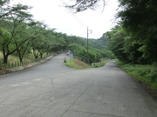 CIMG1273