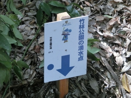 CIMG0671