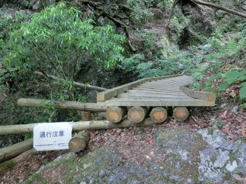 CIMG1694