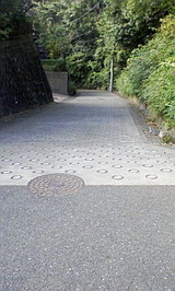 PA0_0722