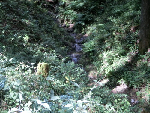 CIMG0103