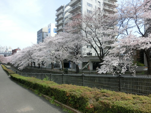 CIMG0600