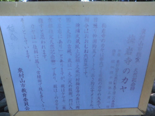 CIMG0478