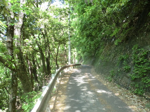 CIMG0423