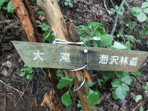 CIMG0870