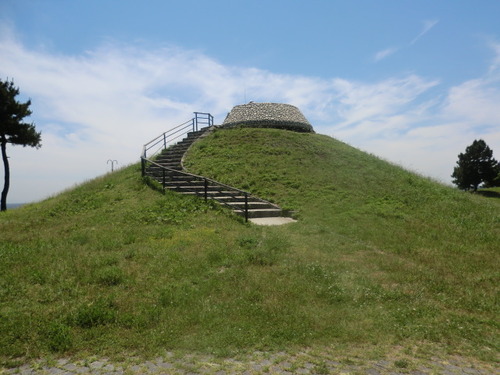 CIMG0454