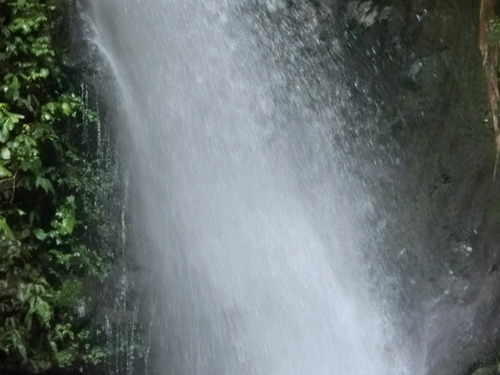 CIMG0887