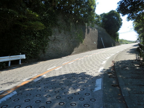 CIMG1045