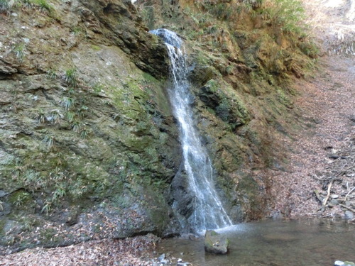 CIMG0390