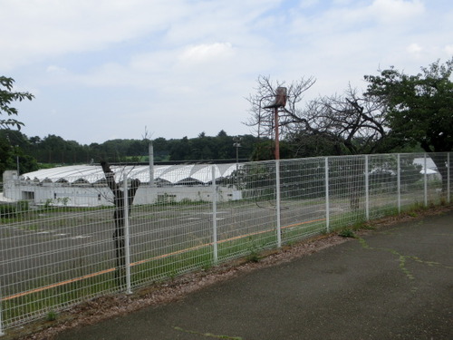 CIMG1350
