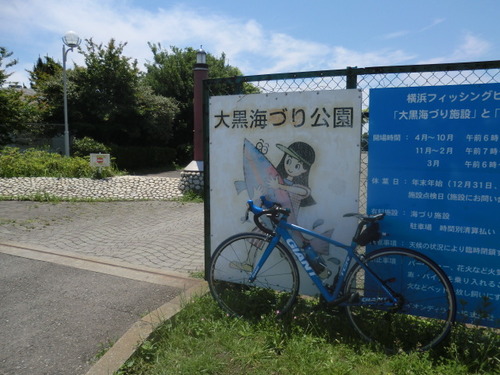 CIMG0453