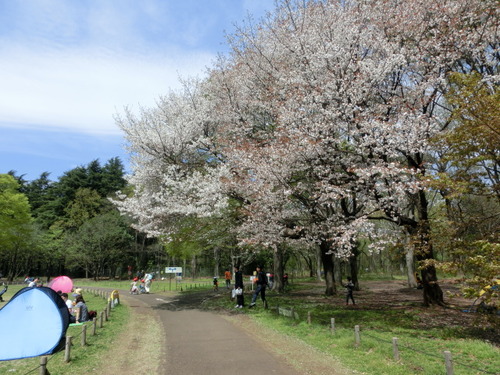 CIMG0705