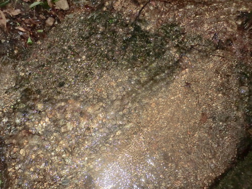 CIMG0659