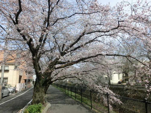 CIMG0604