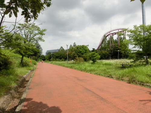 CIMG1318