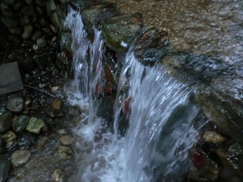 CIMG0656