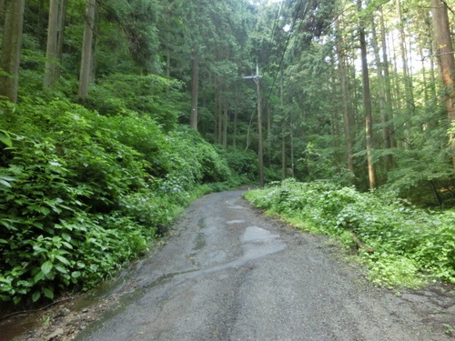 CIMG0372
