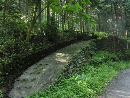 CIMG0371