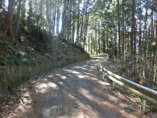 CIMG0384