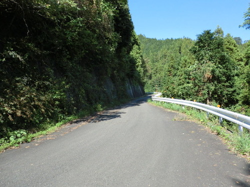 CIMG1333