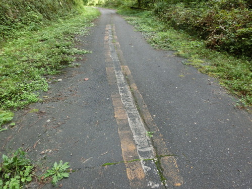 CIMG0104