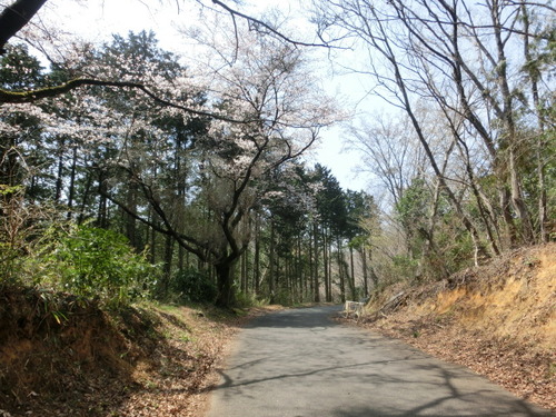 CIMG0579