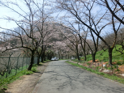 CIMG0581