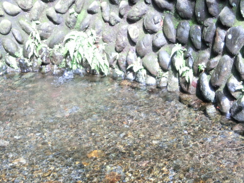CIMG0027