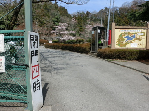 CIMG0584