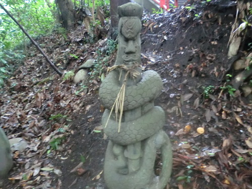 CIMG0661