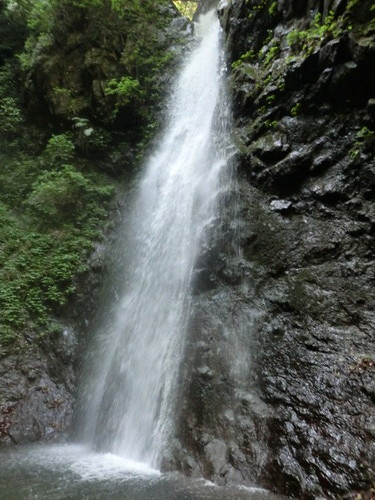 CIMG0827
