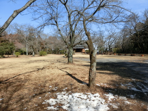 CIMG0286