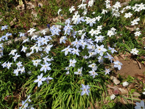 CIMG0572