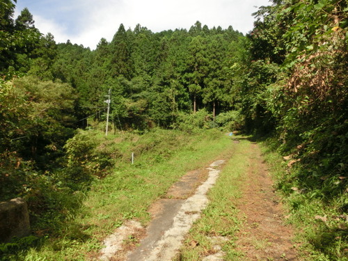 CIMG0084