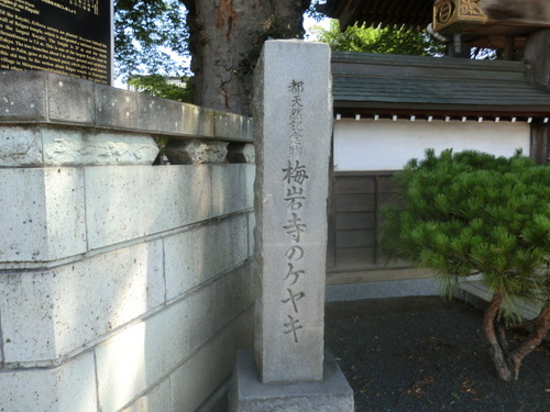 CIMG0474