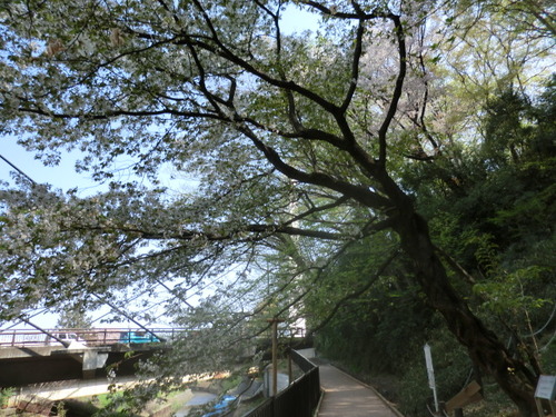 CIMG0806