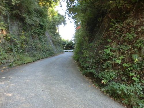 CIMG1501