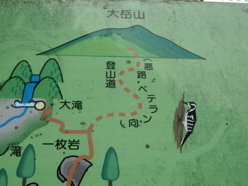 CIMG0897