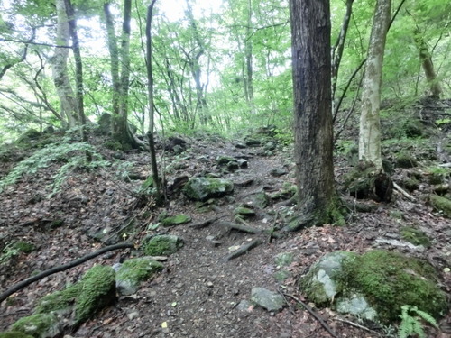 CIMG0875
