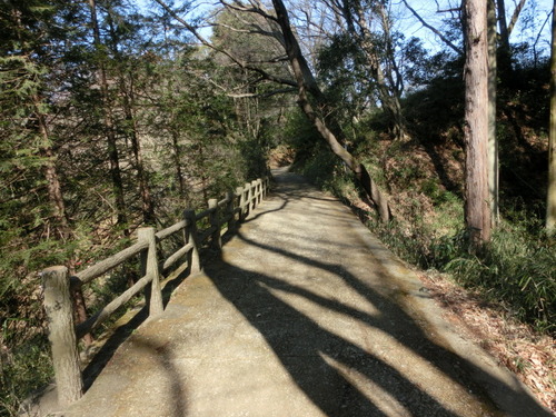 CIMG0282