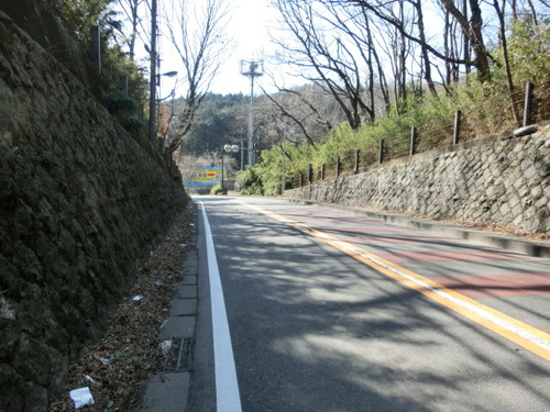 CIMG0247