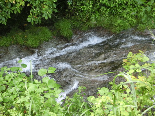 CIMG0365