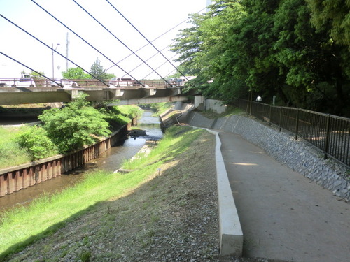 CIMG0433