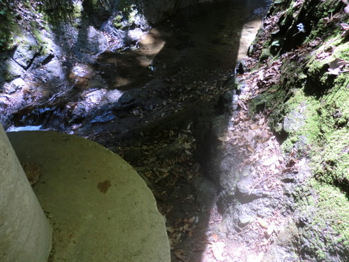 CIMG0837